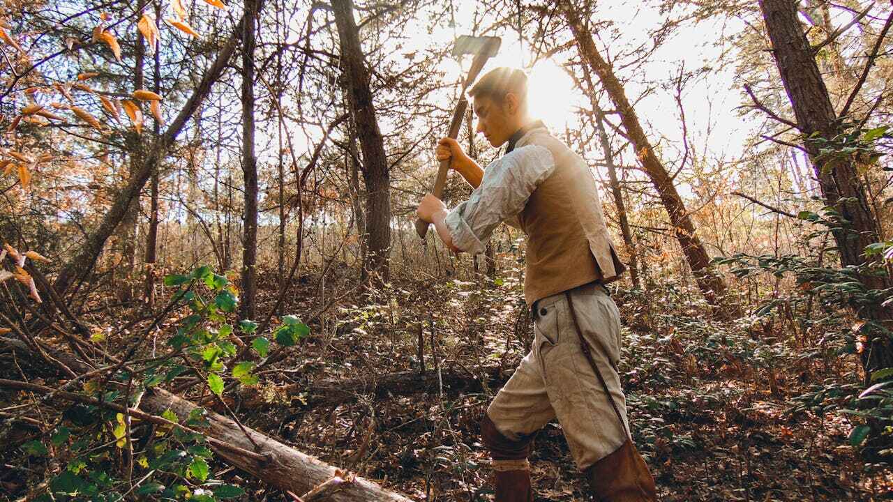 Tree Branch Trimming in Holden Heights, FL